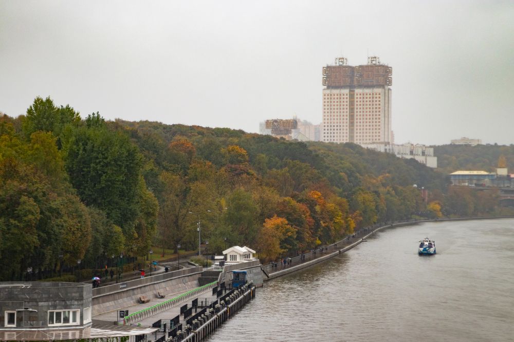 Дождливая осень