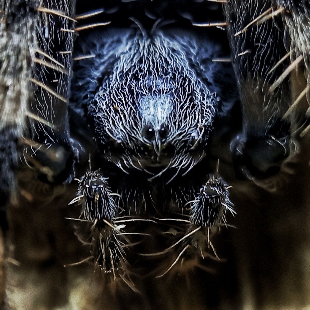 Фотография автора Mahdi Mohammadi