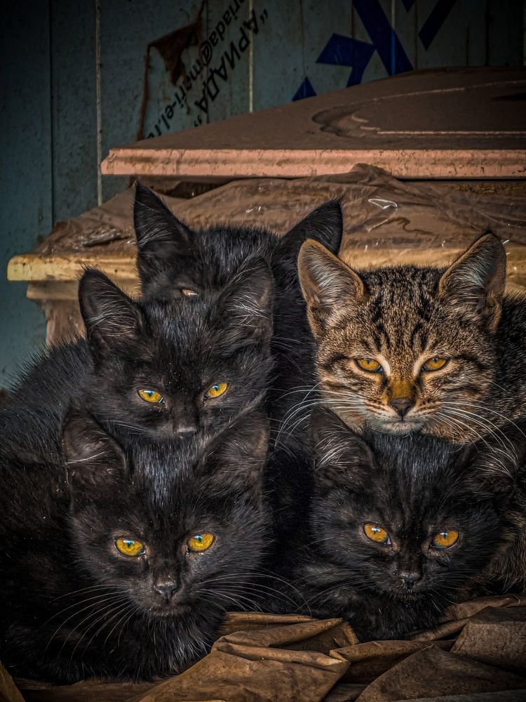 Photograph by Konstantin Martynov