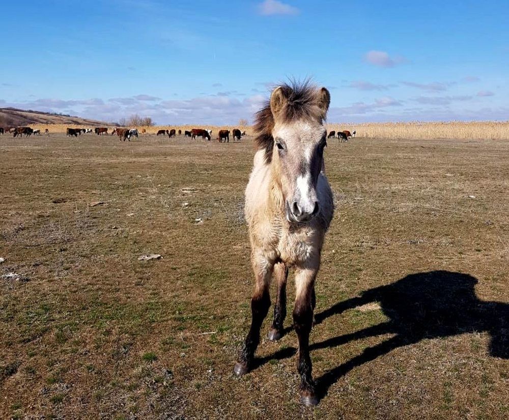 Photograph by Тамара Багровская