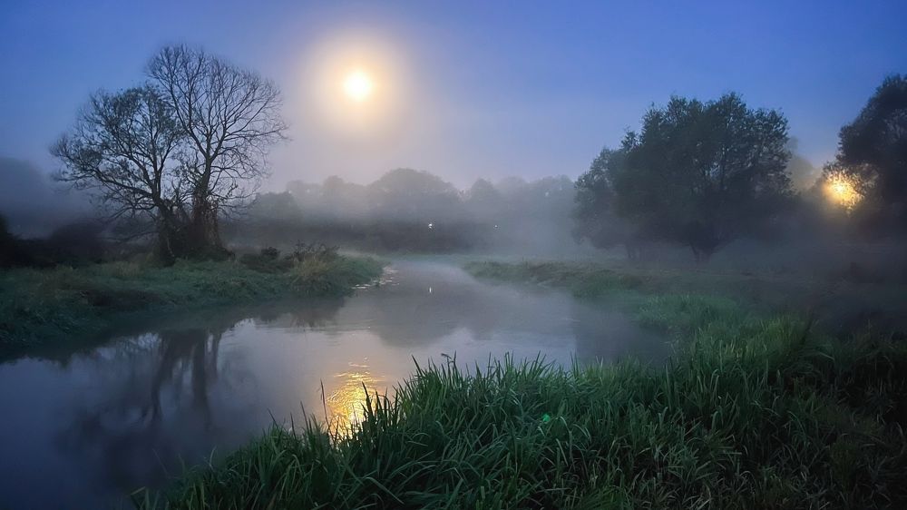 Полуночный туман