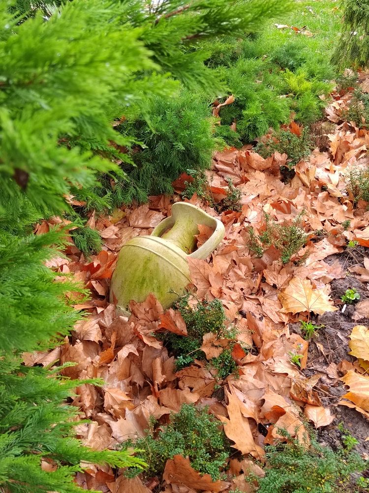 Фотография автора Юлия Лубкина