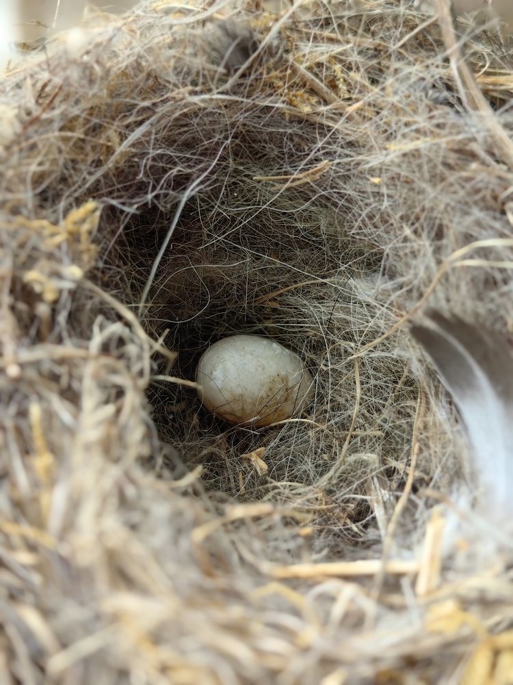 Фотография автора Юлия Лубкина