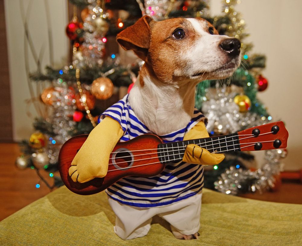 Photograph by Анна Васильева