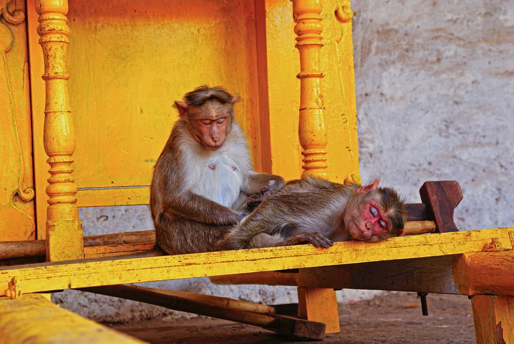 Photograph by Анна Васильева