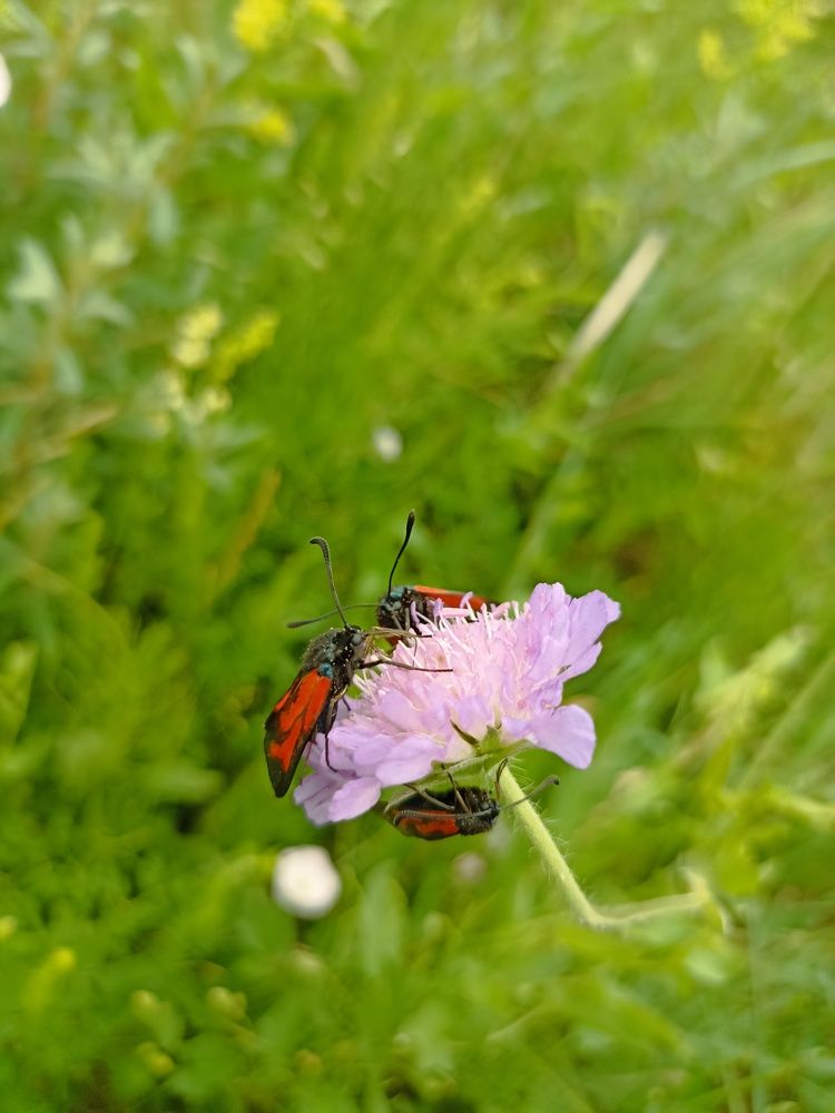 Photograph by Наталья Резванова