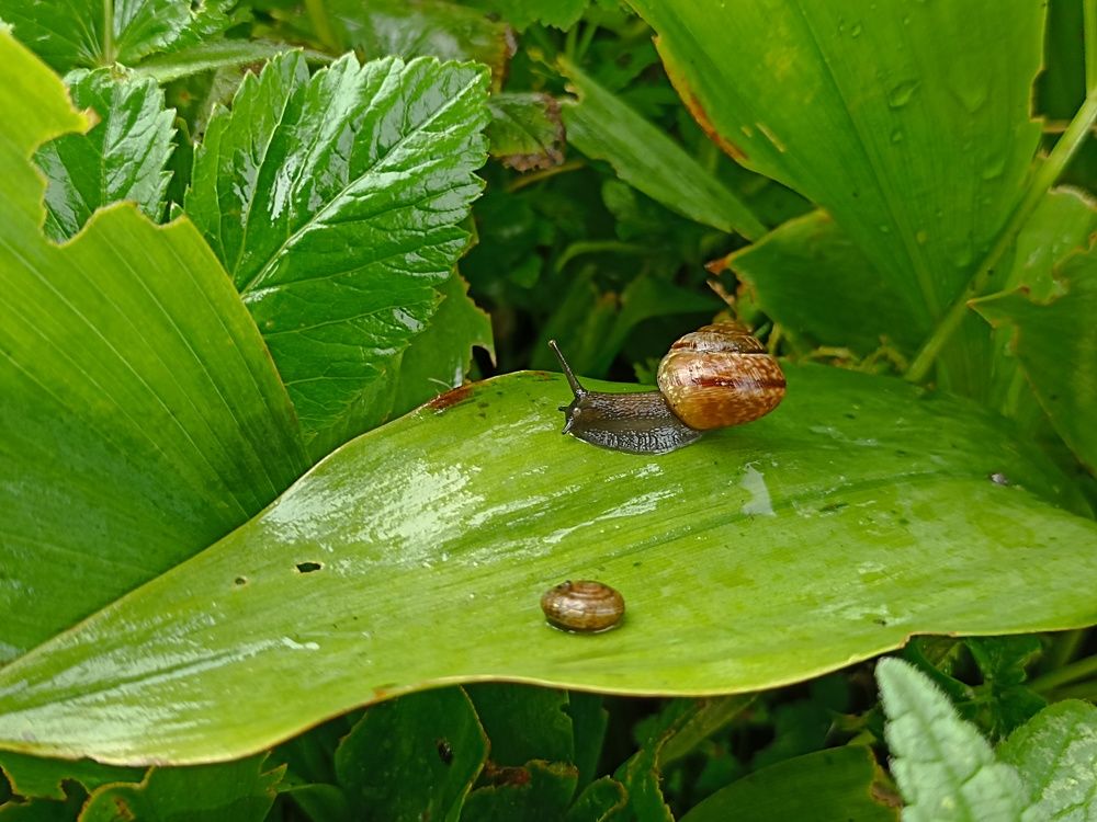 Photograph by Наталья Резванова