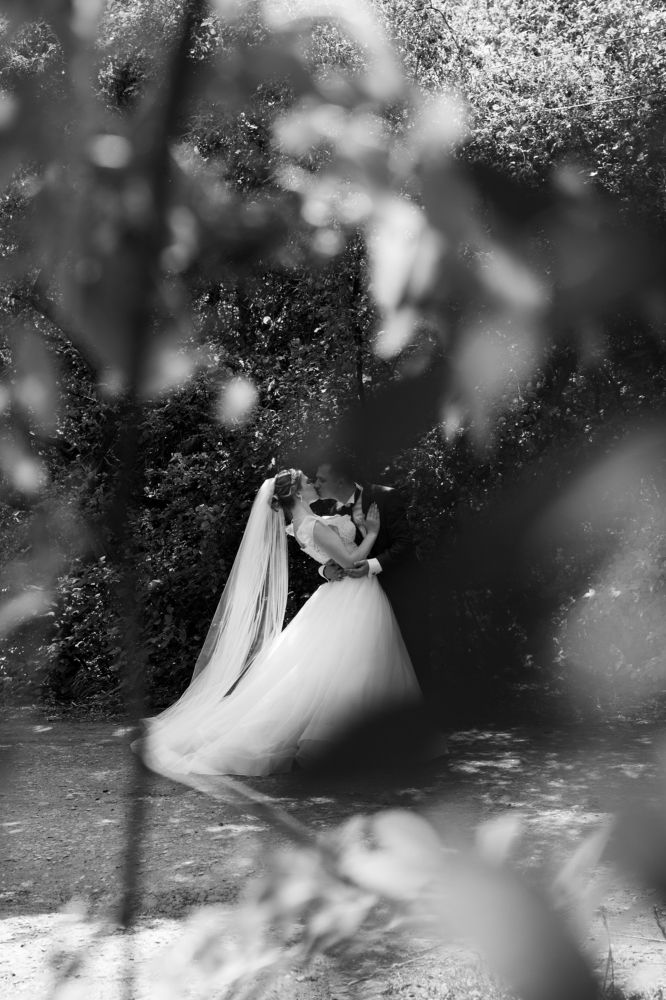 Photograph by Яна Кондрак