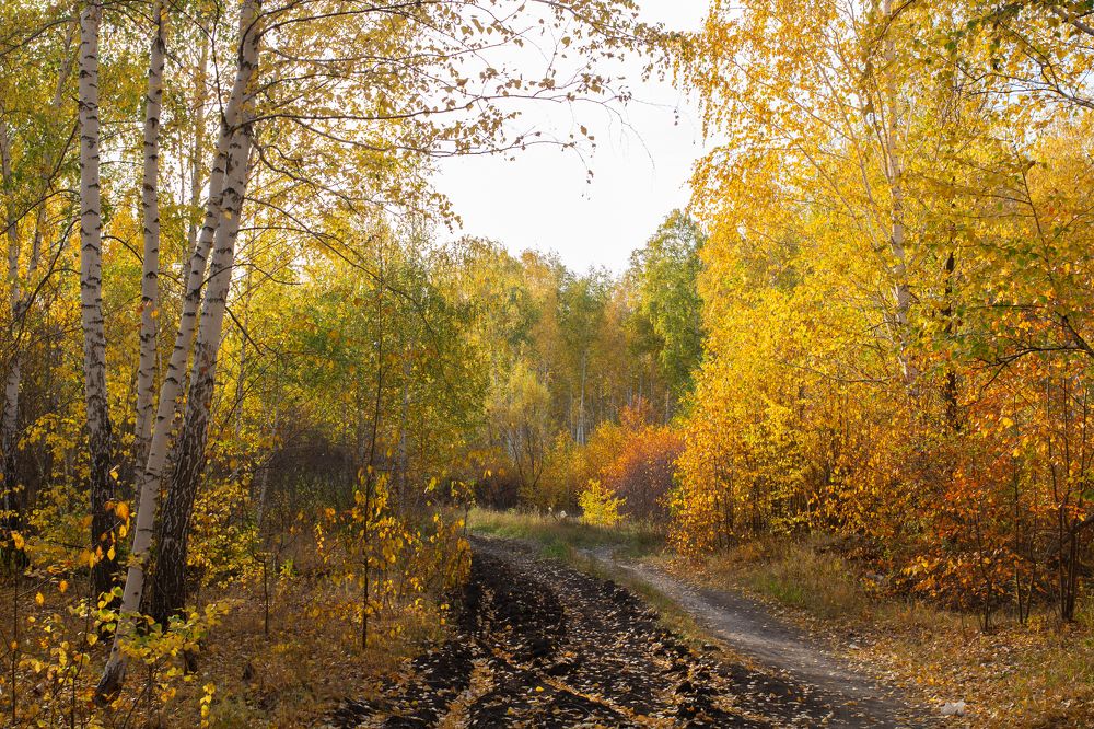 Photograph by Яна Кондрак