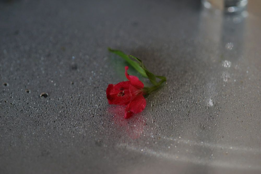 Photograph by Екатерина Стрельникова