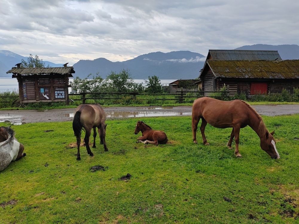 Photograph by LEONID DUBINA