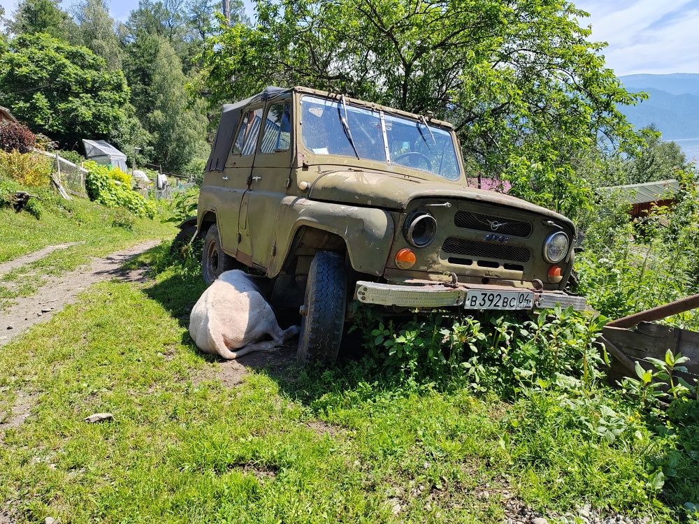 Photograph by LEONID DUBINA