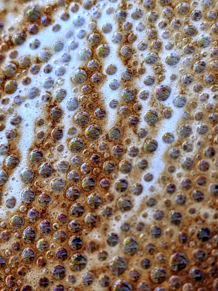 Photograph by Elizabeth Allen