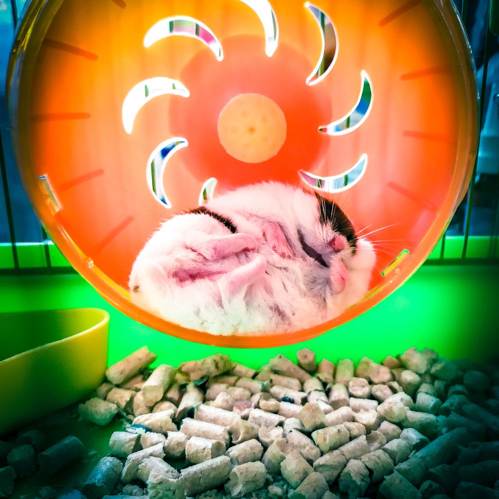 Фотография автора Александр Хухлов