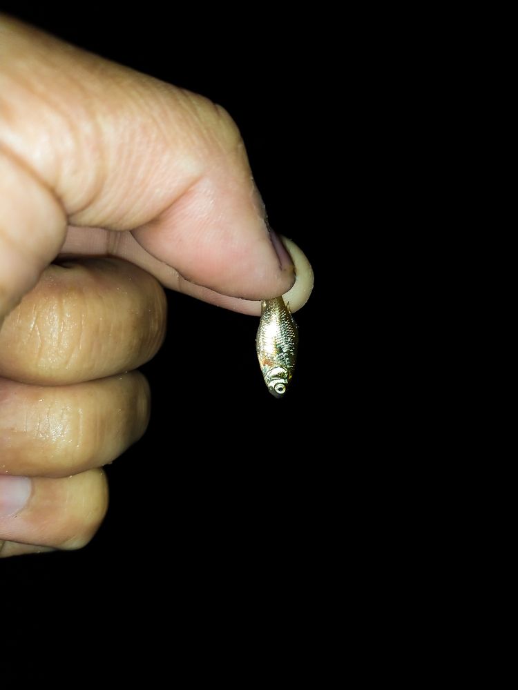 Фотография автора Александр Хухлов