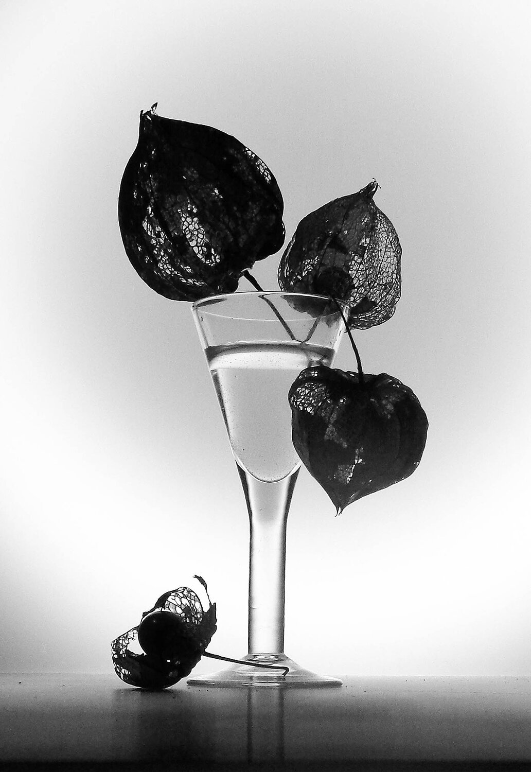 Photo #9652346