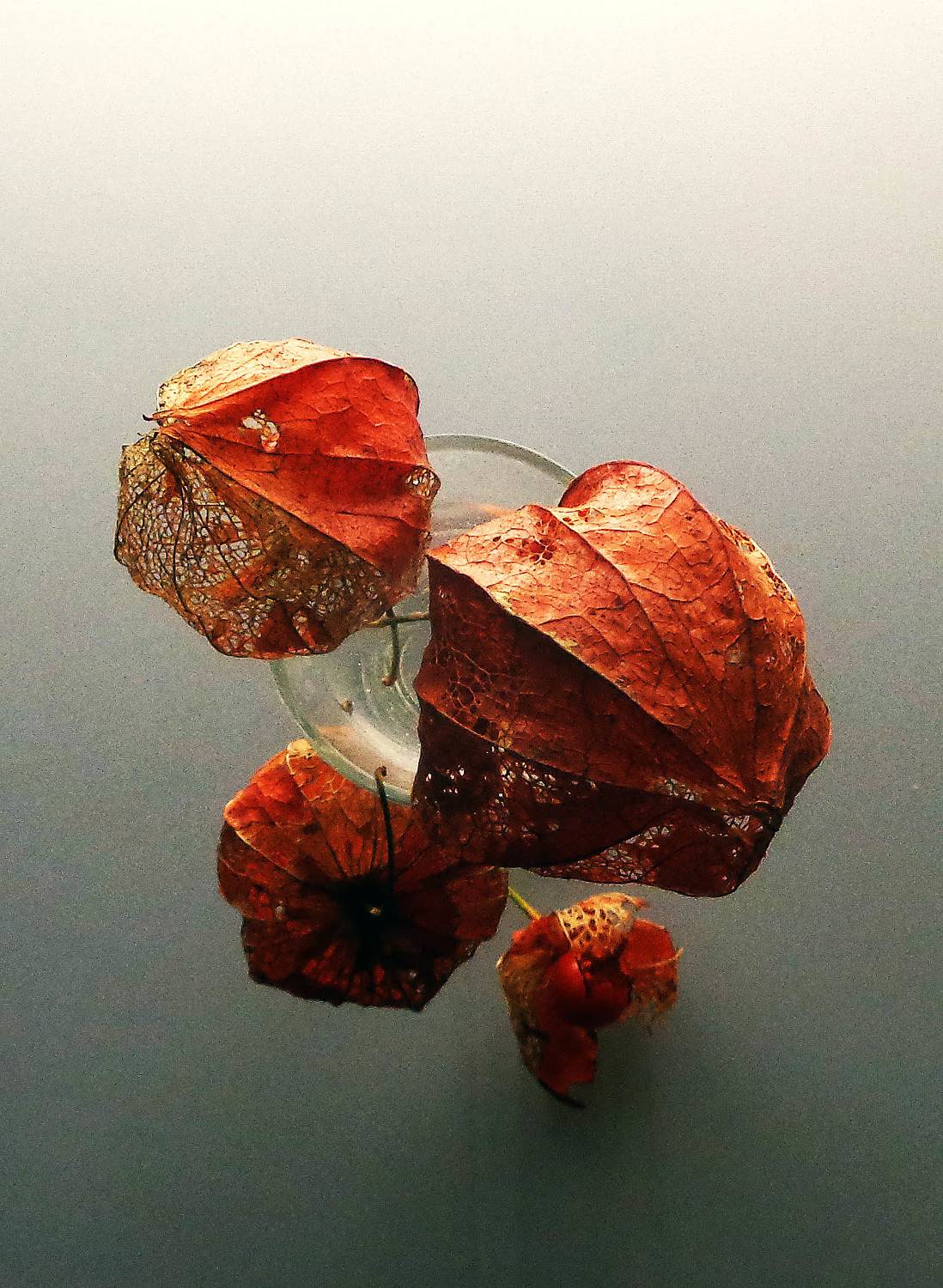 Photo #9652348