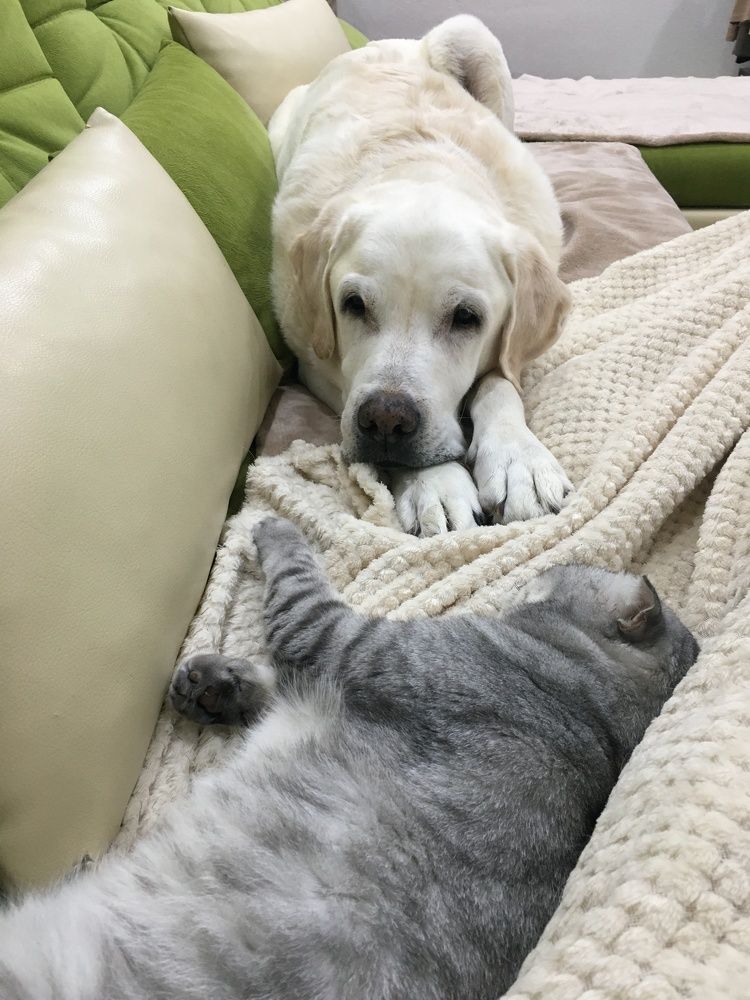 Photograph by Наталья Душакова