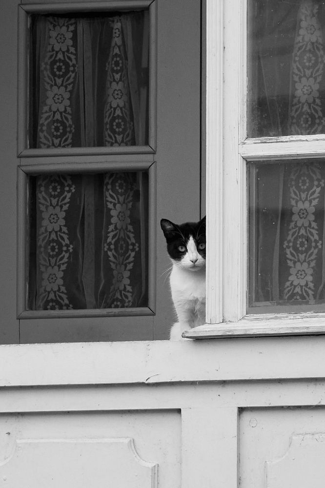 Photograph by ирина Ирина
