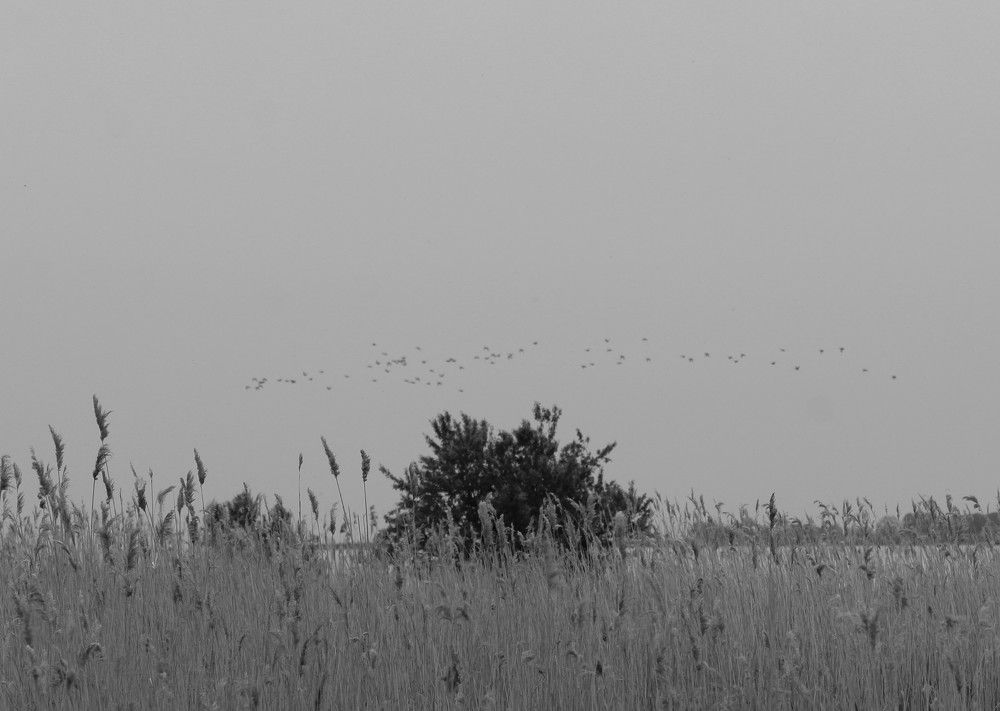 Photograph by Наталья Резванова