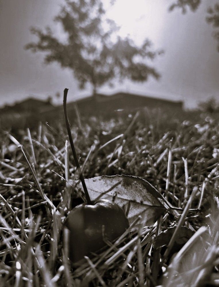 Photograph by Елена Ляпина