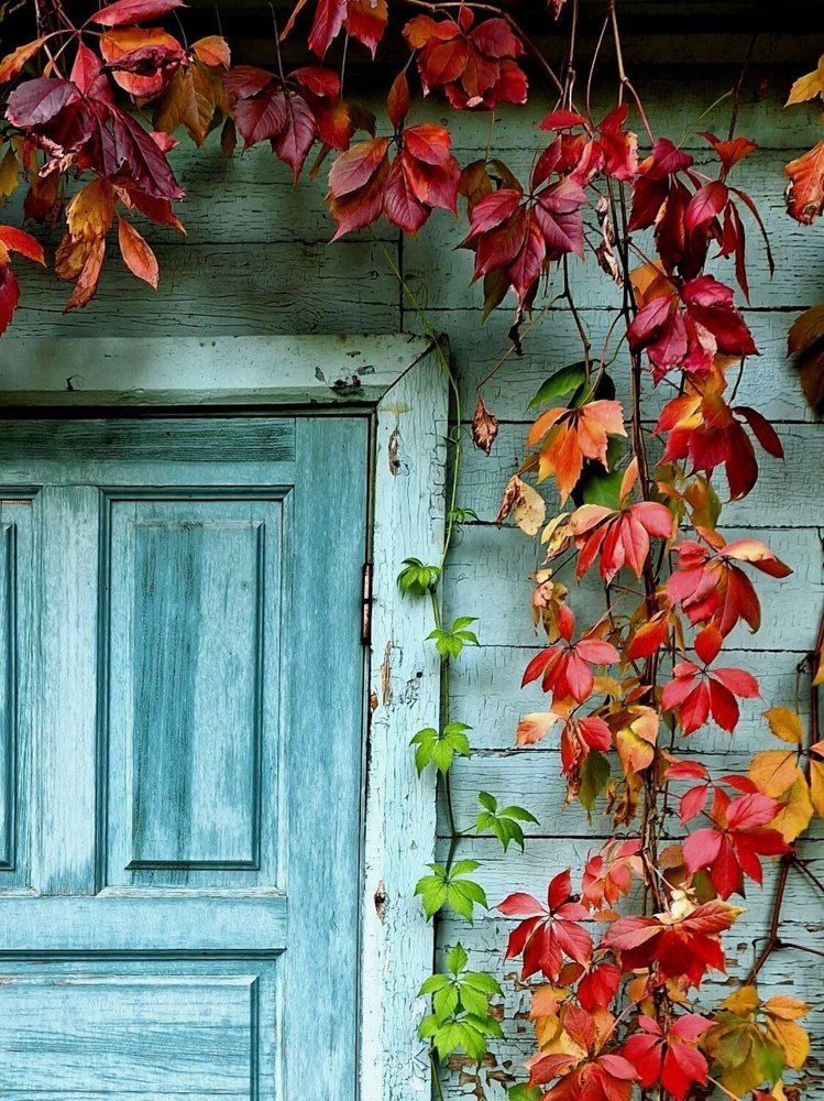 Photograph by Елена Ляпина