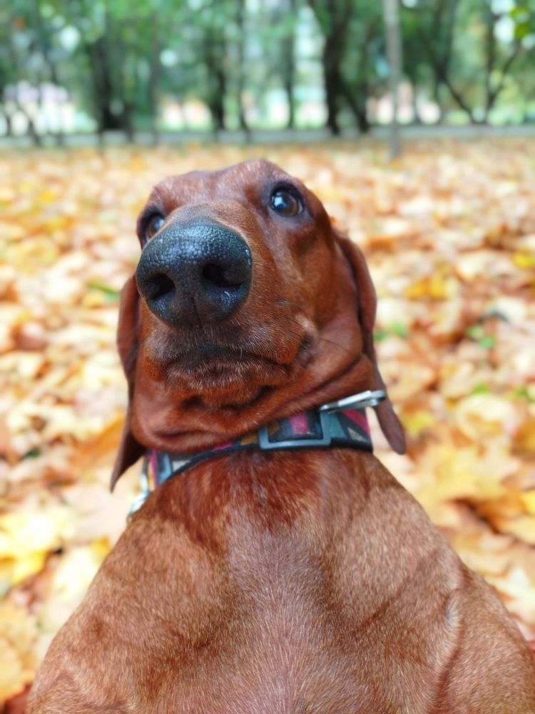 Photograph by Светлана Веселовская