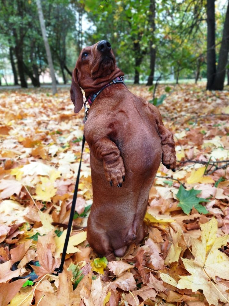 Photograph by Светлана Веселовская