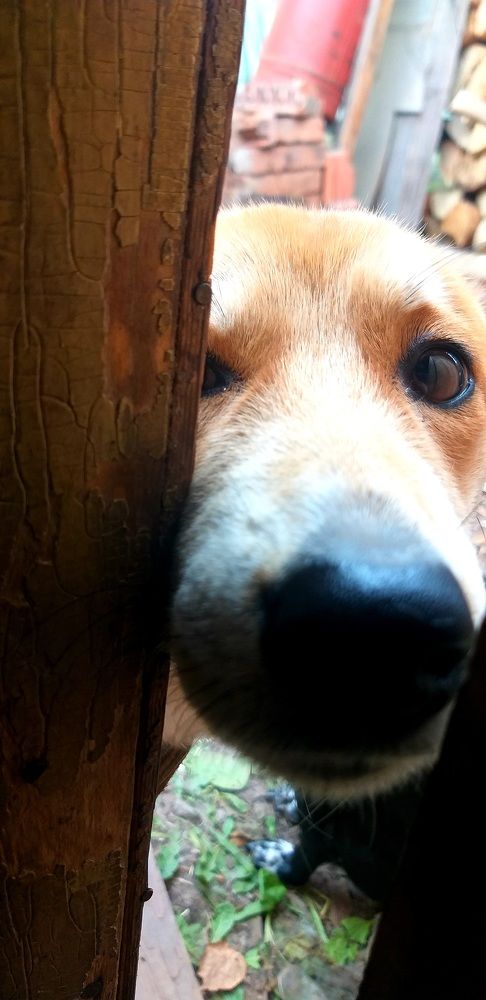 Photograph by Светлана Середина