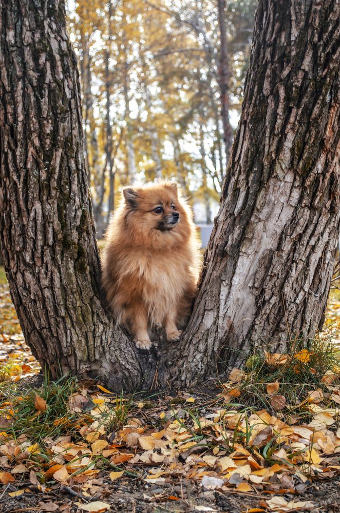 Photograph by Любовь Бусова