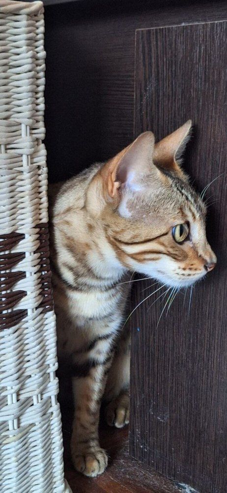 Photograph by Елена Ляпина