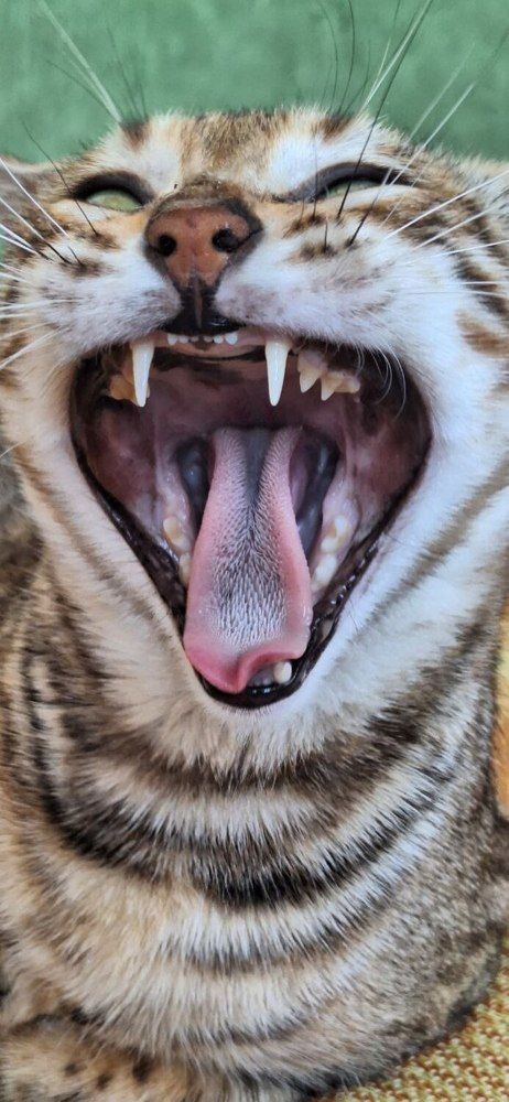 Photograph by Елена Ляпина