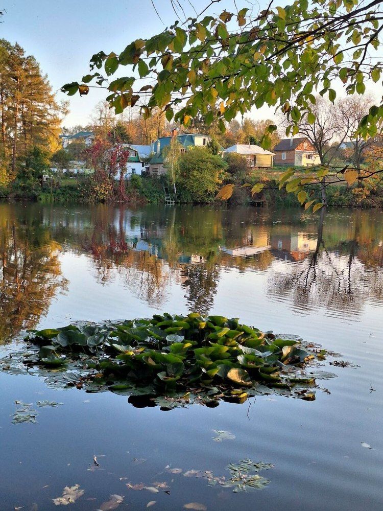 Ясная поляна