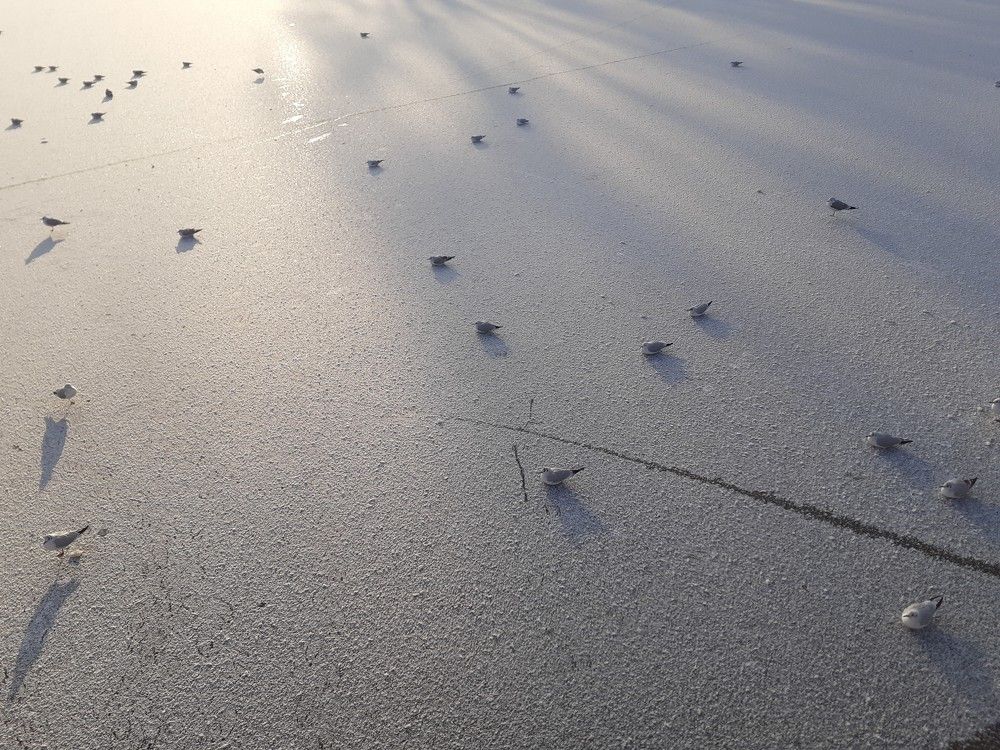 Photograph by Светлана Светлана