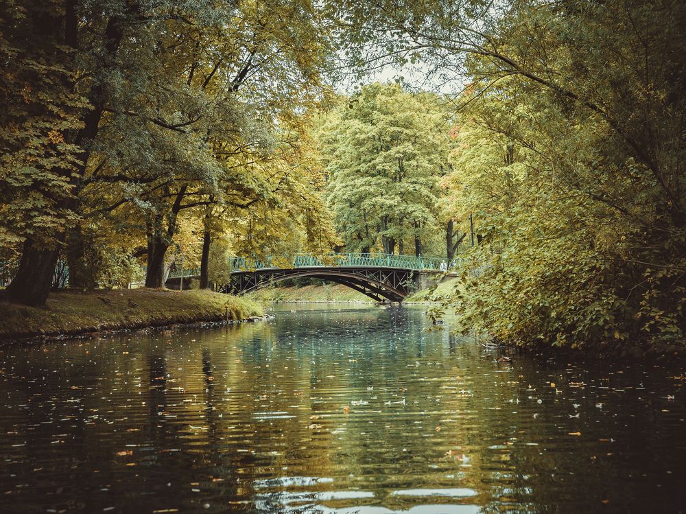 Photograph by Алексей Петров