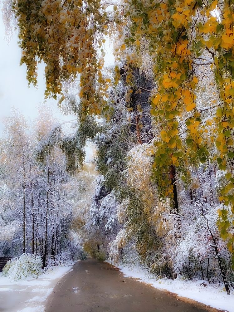 Photograph by Юлия Субботина