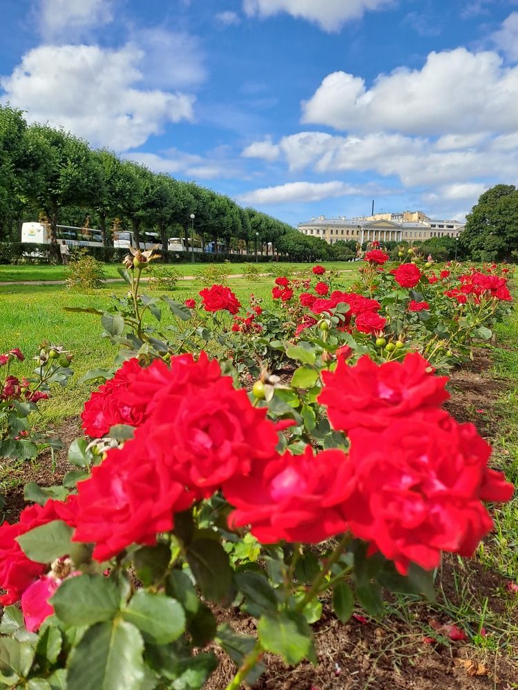 Photograph by Ирина Владимировна