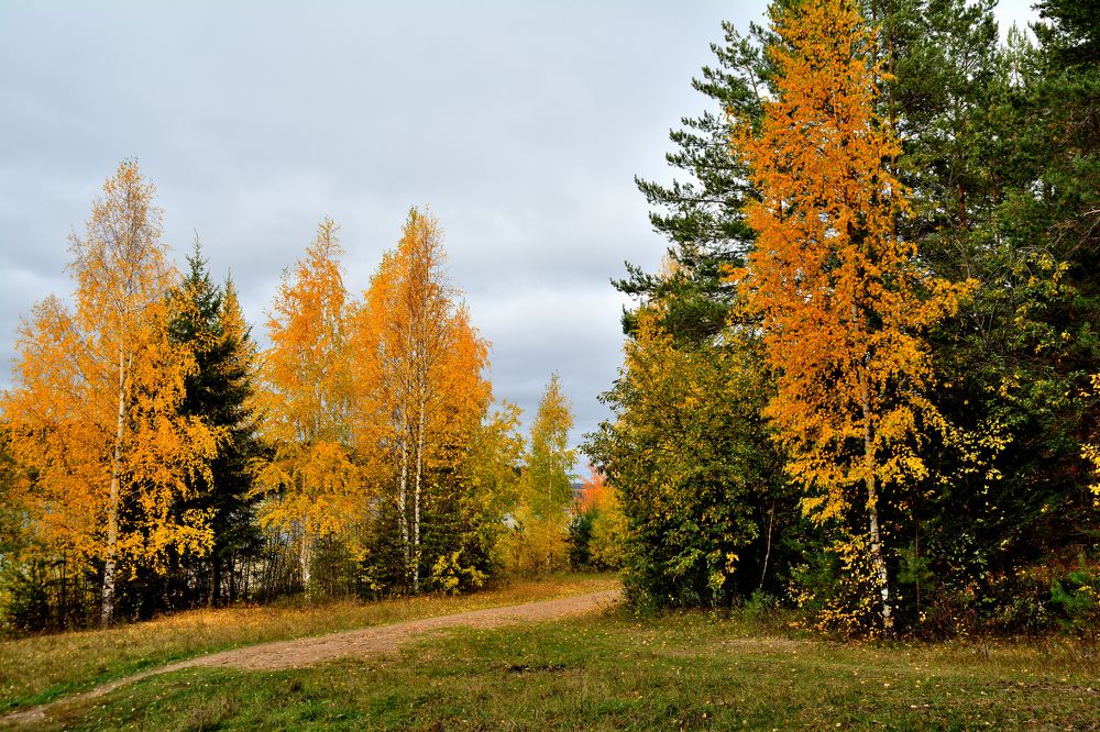 Photograph by Александр Зуев