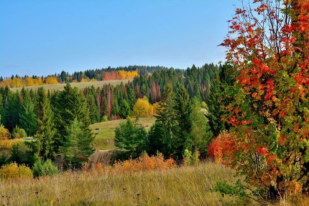 Photograph by Александр Зуев