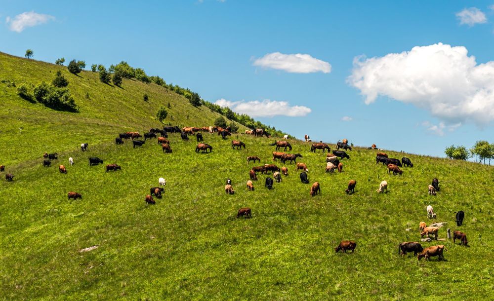 Photograph by Галина Эмберг