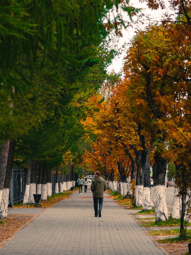 Photograph by Михаил Канивецкий