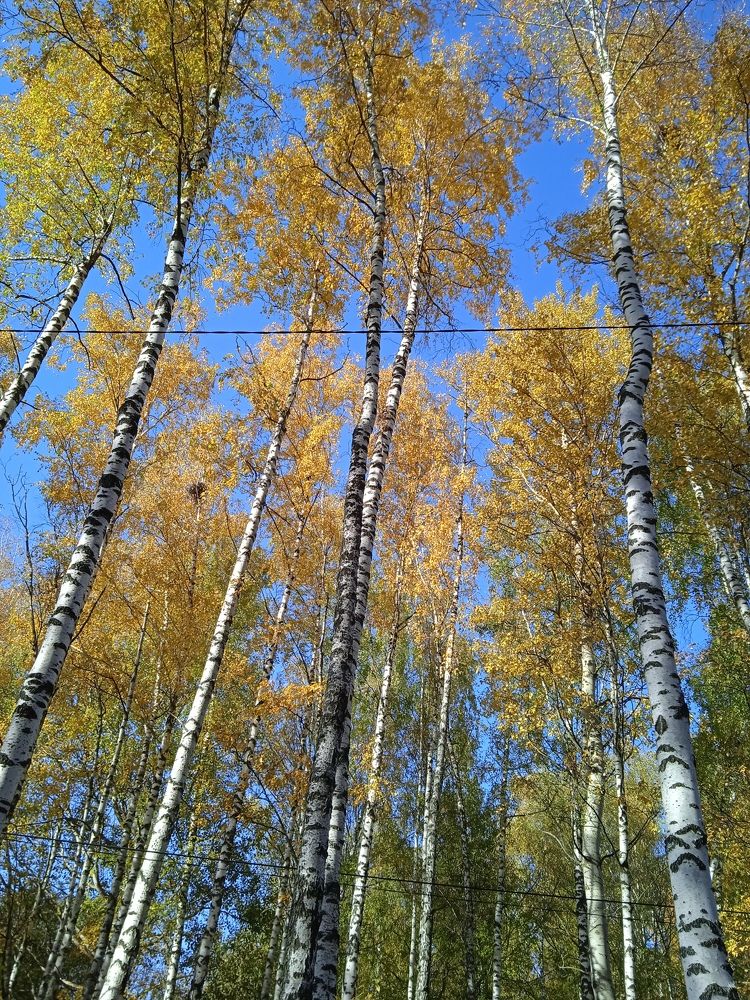 Photograph by Анна