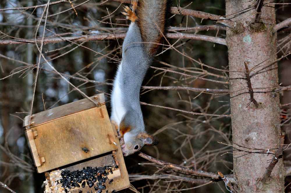 Photograph by Александр Зуев