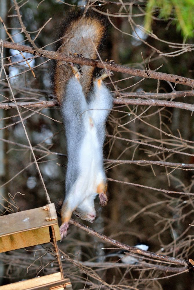 Photograph by Александр Зуев