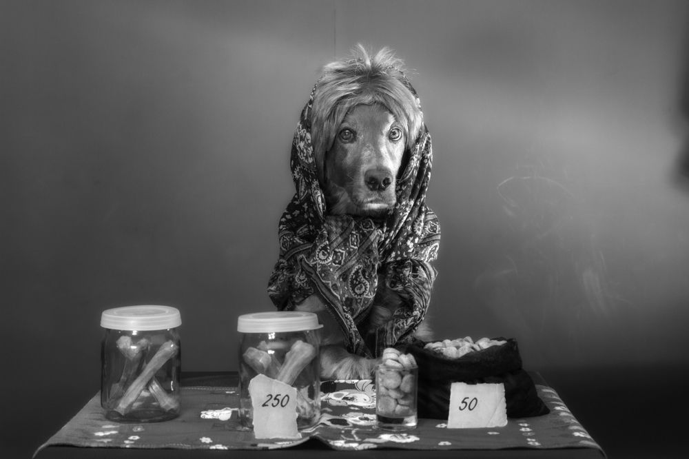 Photograph by Константин