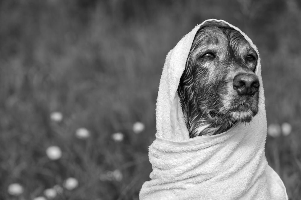 Photograph by Константин