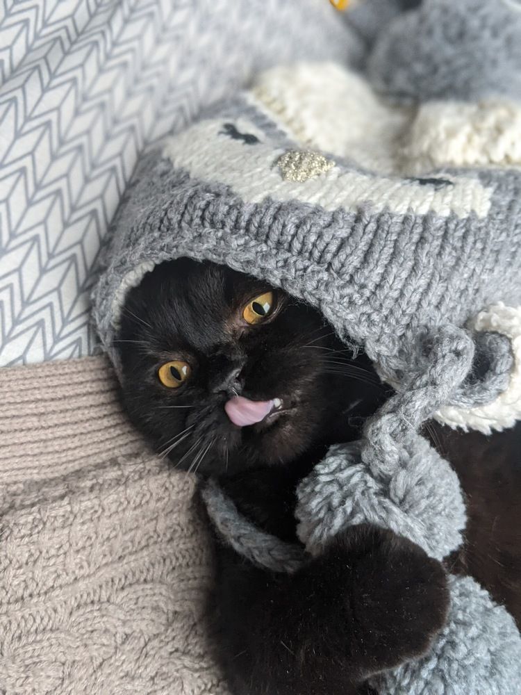Photograph by Ксения Котова