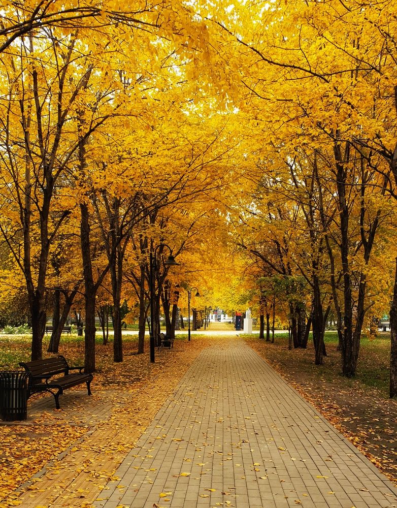 Photograph by Наталья Адалинская