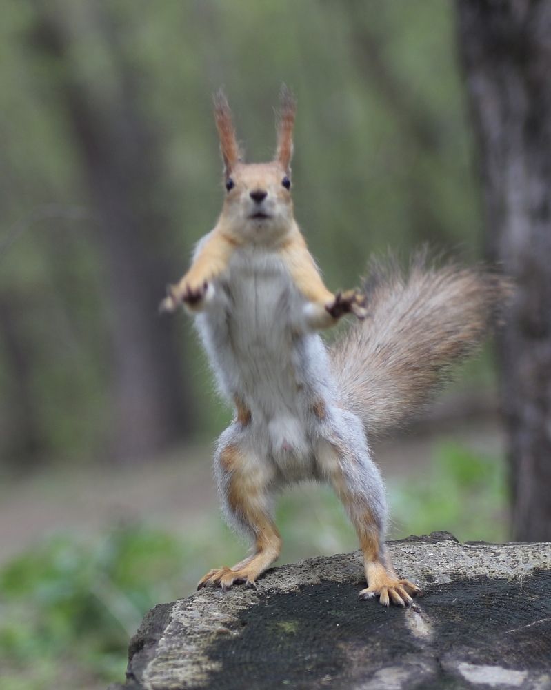 Photograph by Александр Затямин