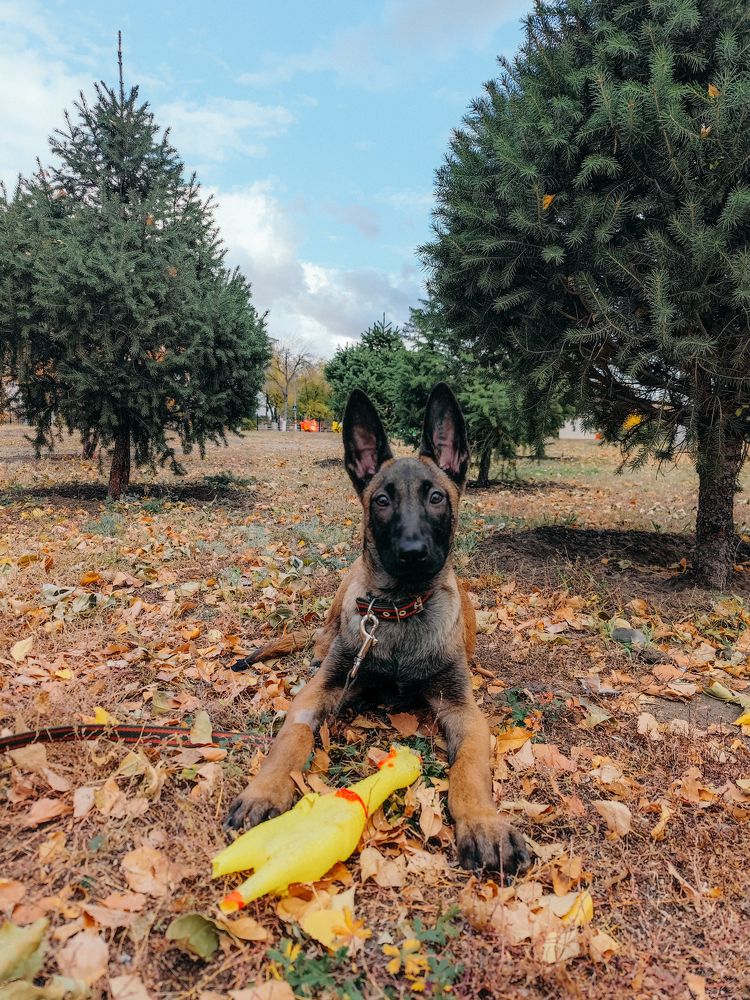 Photograph by Наталья